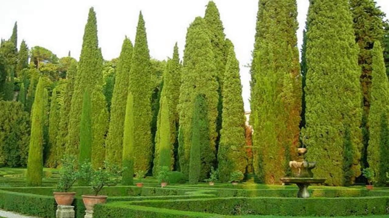 Arquitetura da paisagem: do jardim clássico ao jardim contemporâneo