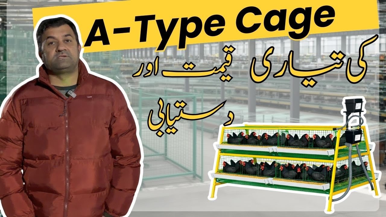 Preparation of A Type Cages - Price and Availability