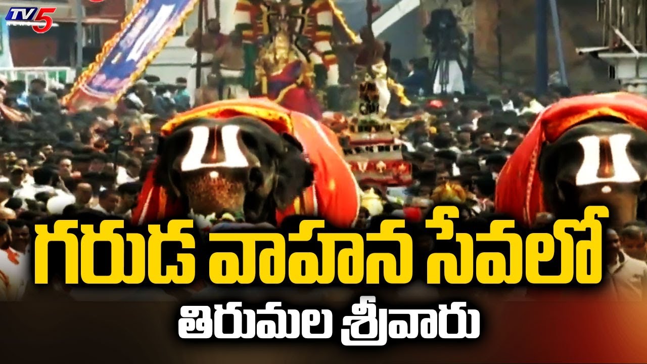 Srivari Garuda Vahana Seva In Tirumala | Ratha Sapthami In Tirumala | TV5 News