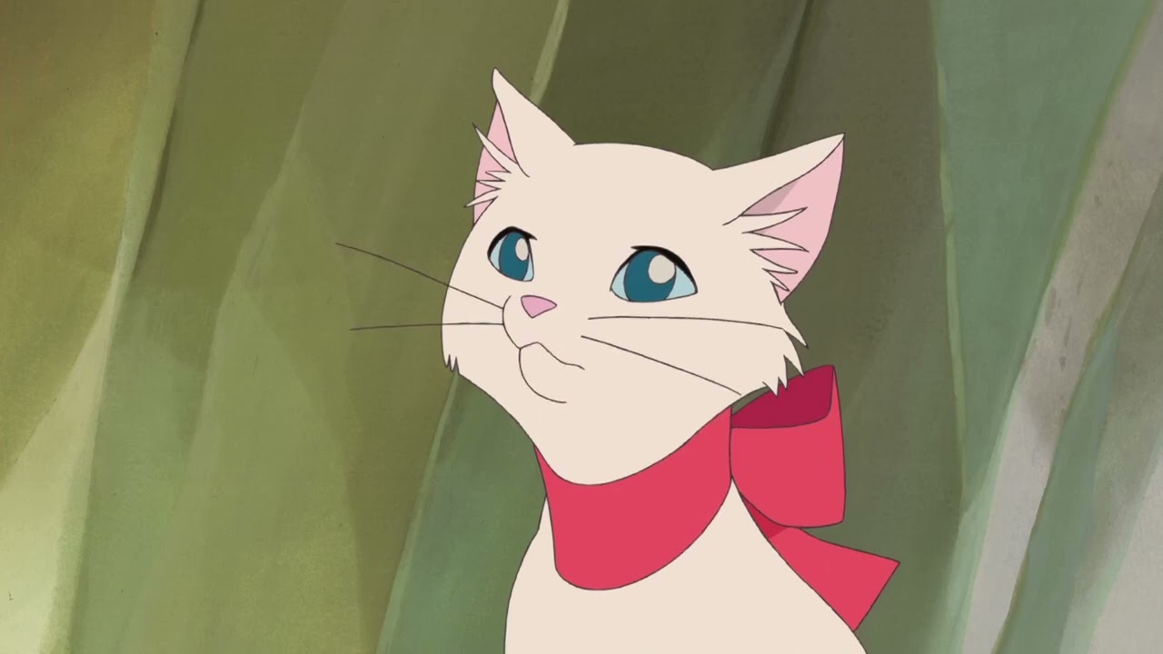 yuki moments - the cat returns