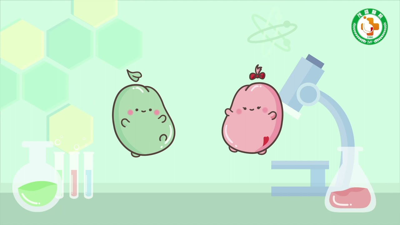 【未來生育小學堂】 胚胎植入！4D超音波提升試管嬰兒懷孕率！