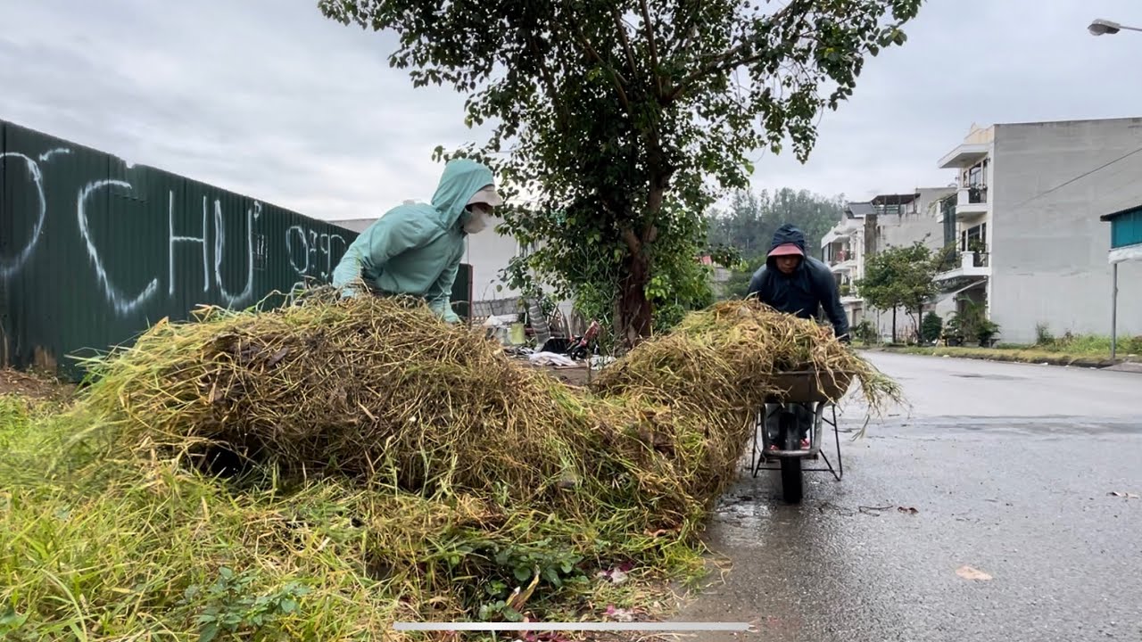 Locals are curious as we clear the weed-covered sidewalk spilling onto the road—join us in cleaning.