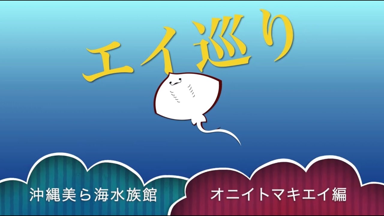 エイ巡り　沖縄美ら海水族館　オニイトマキエイ編