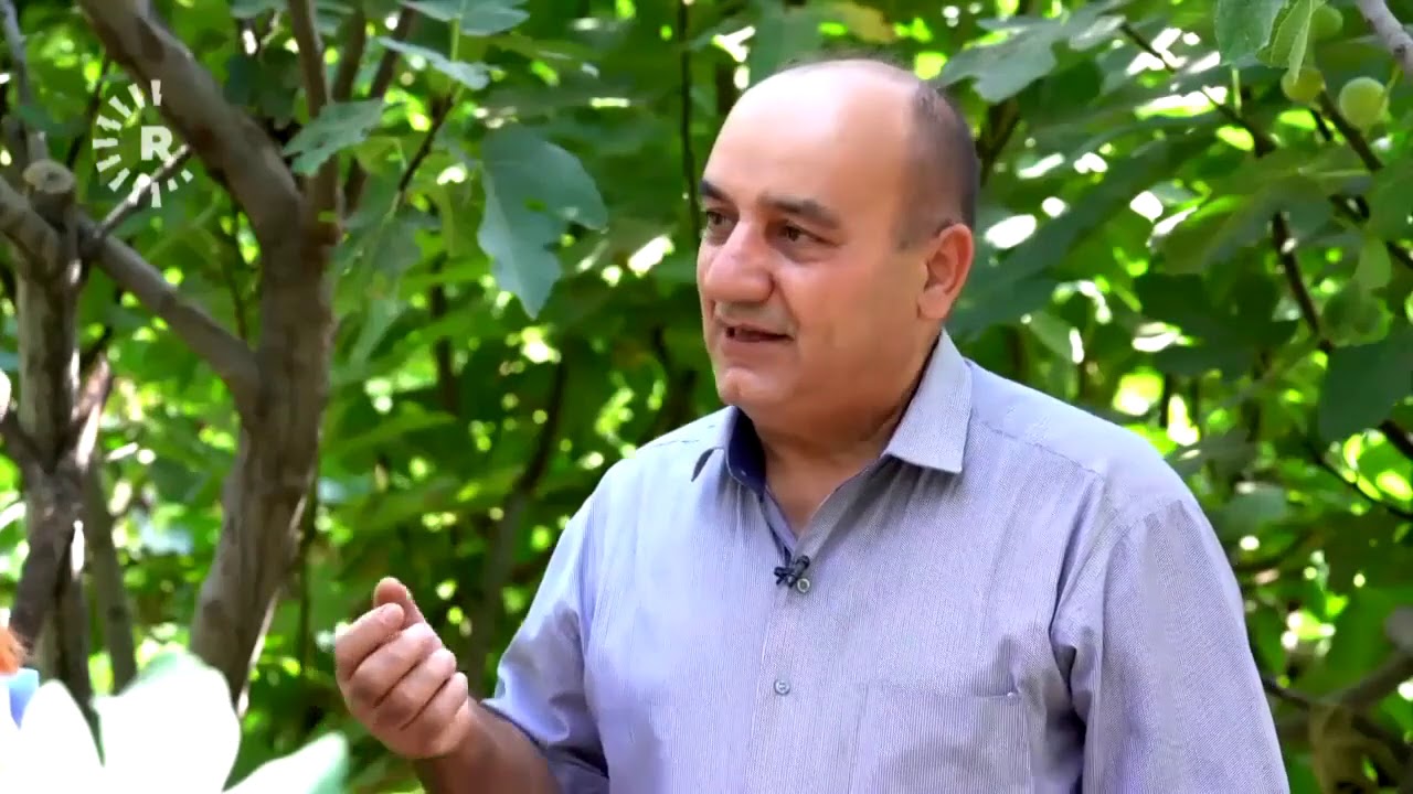 گوندی شووش لە دەڤەری ئاکرێ بە هەنجیرەکانی بەنێوبانگە، یەحیا بەگییش باشترین جۆری هەنجیرە لەو دەڤەرە