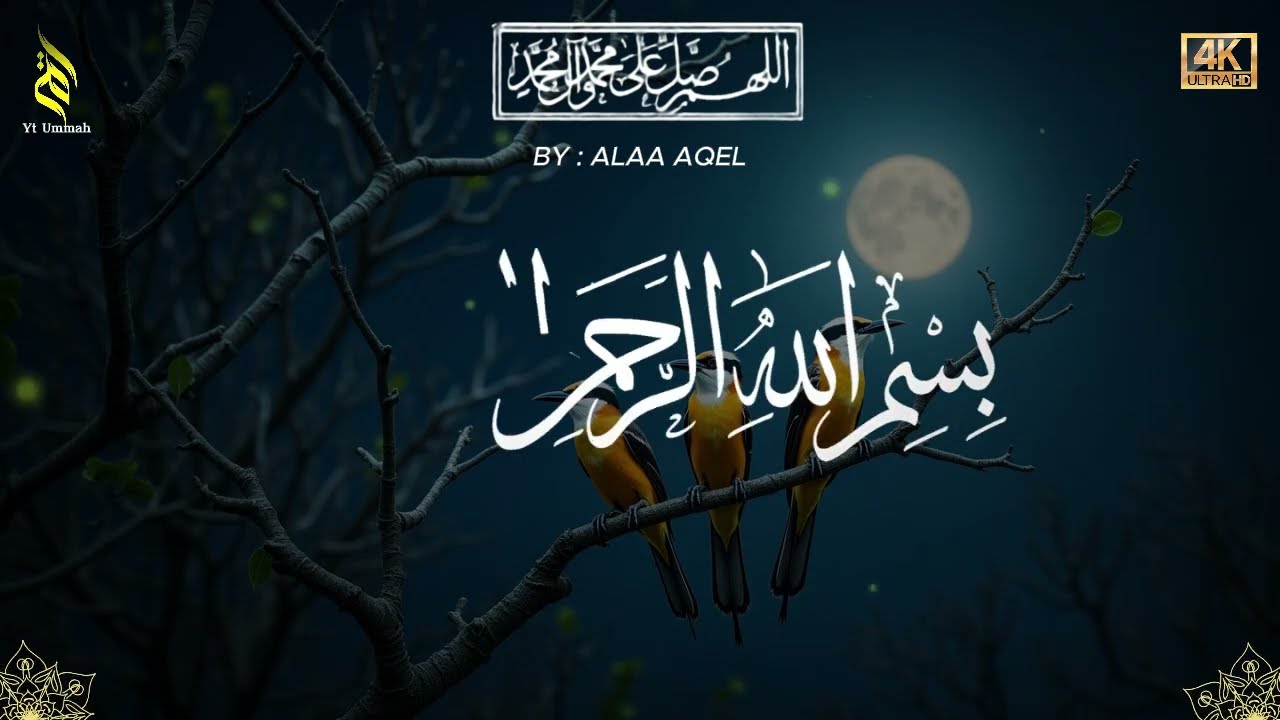 Quran recitation in a peaceful voice I ayat al kursi, yasin, alkahfi, alwaqiah, arrahman, Alaa Aqel