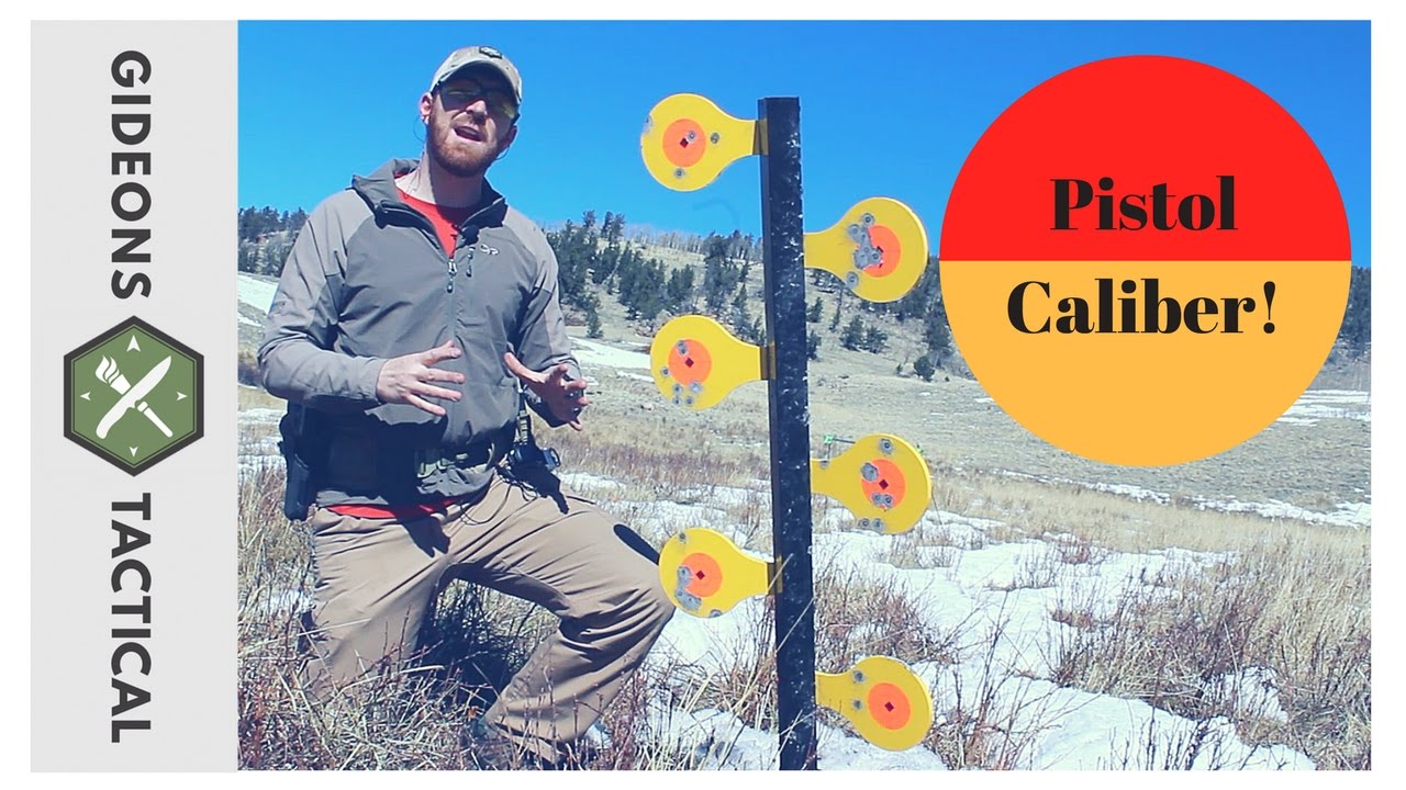 Awesome Pistol Dueling Tree by Birchwood Casey