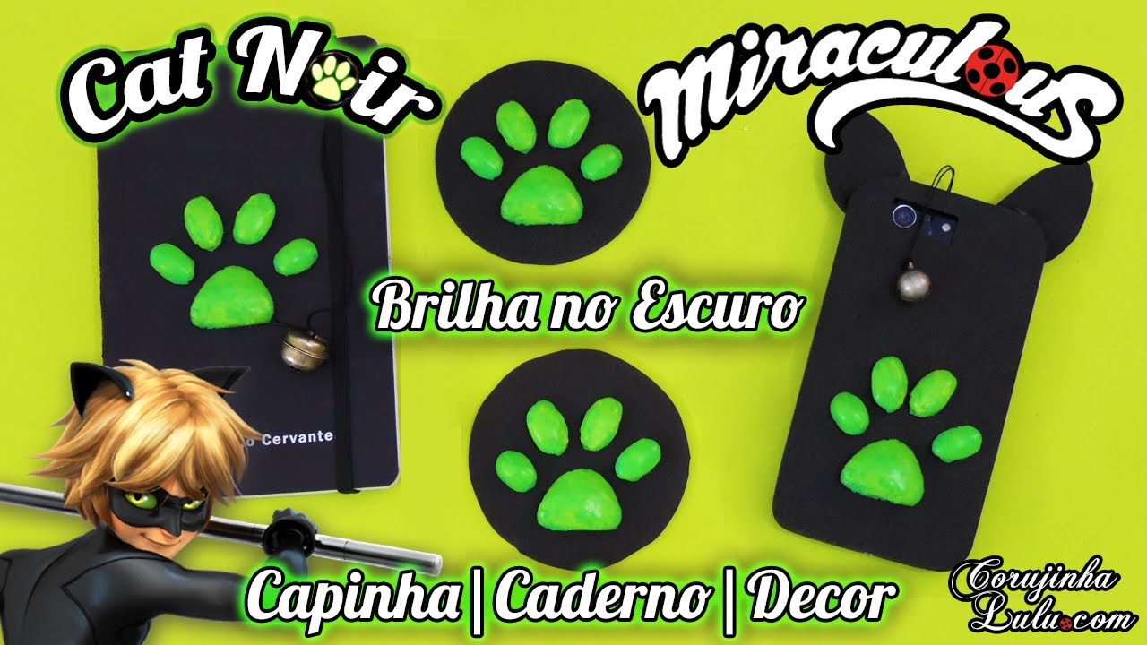 DIY Cat Noir Miraculous Ladybug: Como fazer Capinha de Celular |Caderno |Decor que brilham no escuro