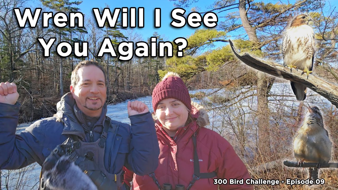 Wren Will I See You Again? Birding at FWR Dickson Wilderness Area