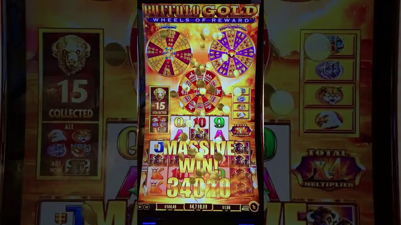 Massive, massive jackpot with 15 heads on Buffalo Gold Wheels of Reward.