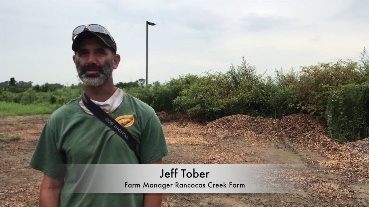 Gleaning for Food Insecurity