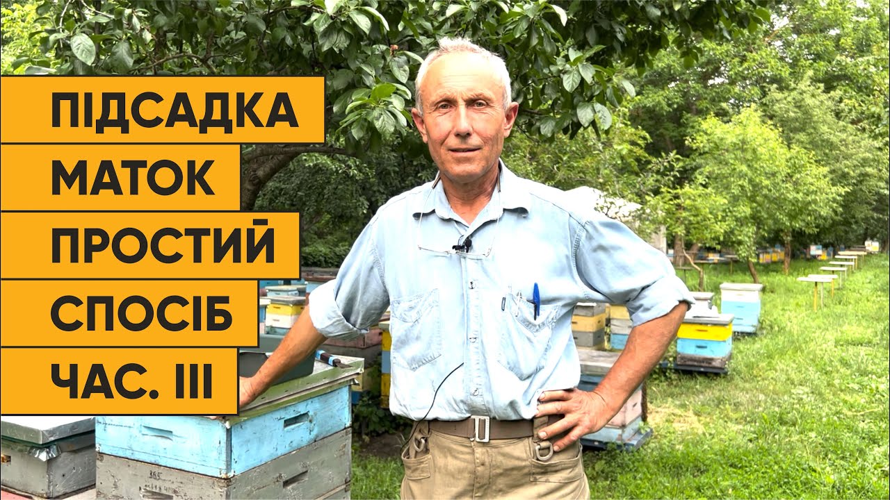 Метод підсадки маток від Єгошина частина ІІІ