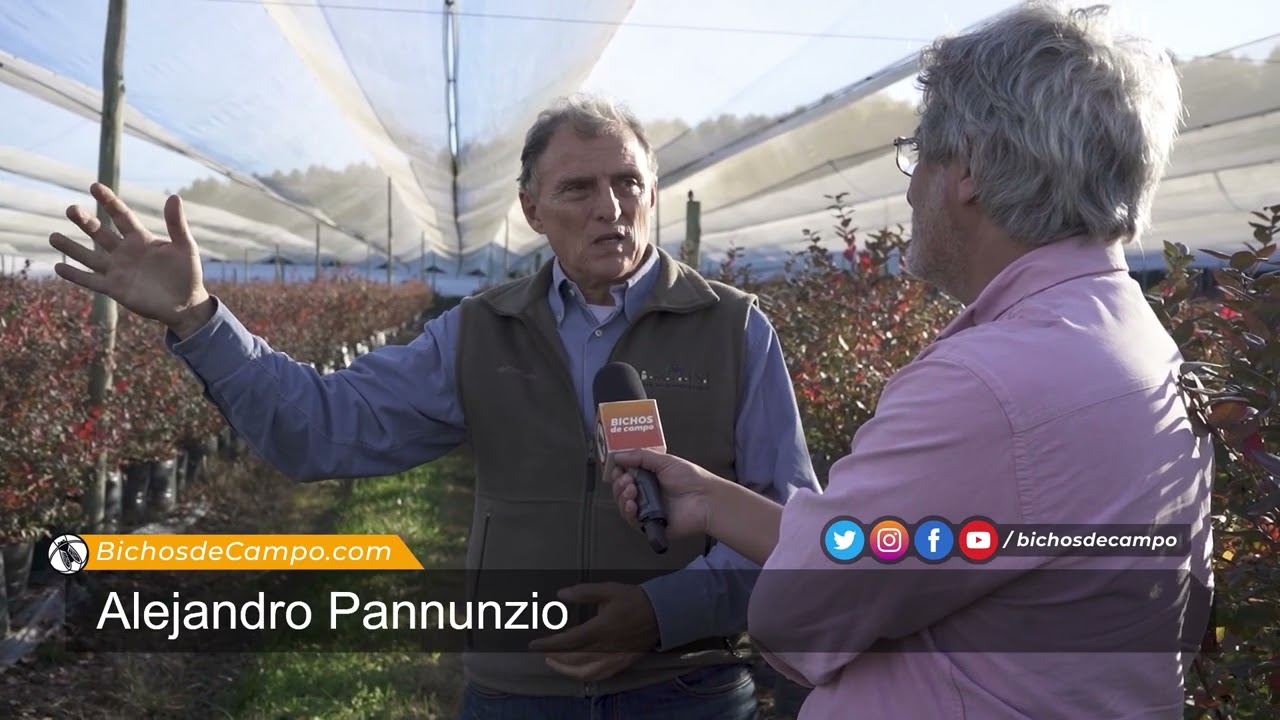 Alejandro Pannunzio, especialista en riego y productor de arándanos en Concordia
