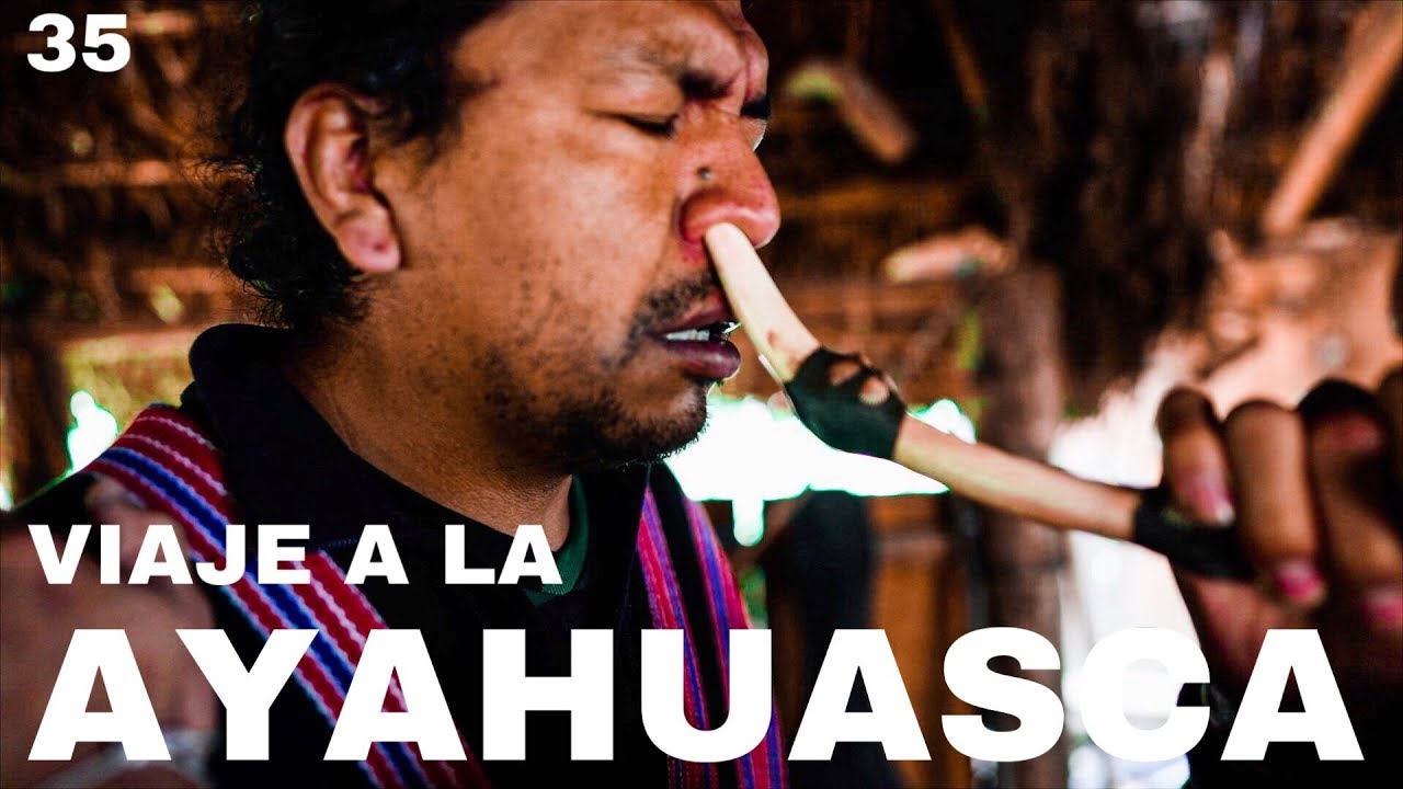 34. ¿Qué es la AYAHUASCA para un TAITA o CHAMÁN? - COLOMBIA 🇨🇴