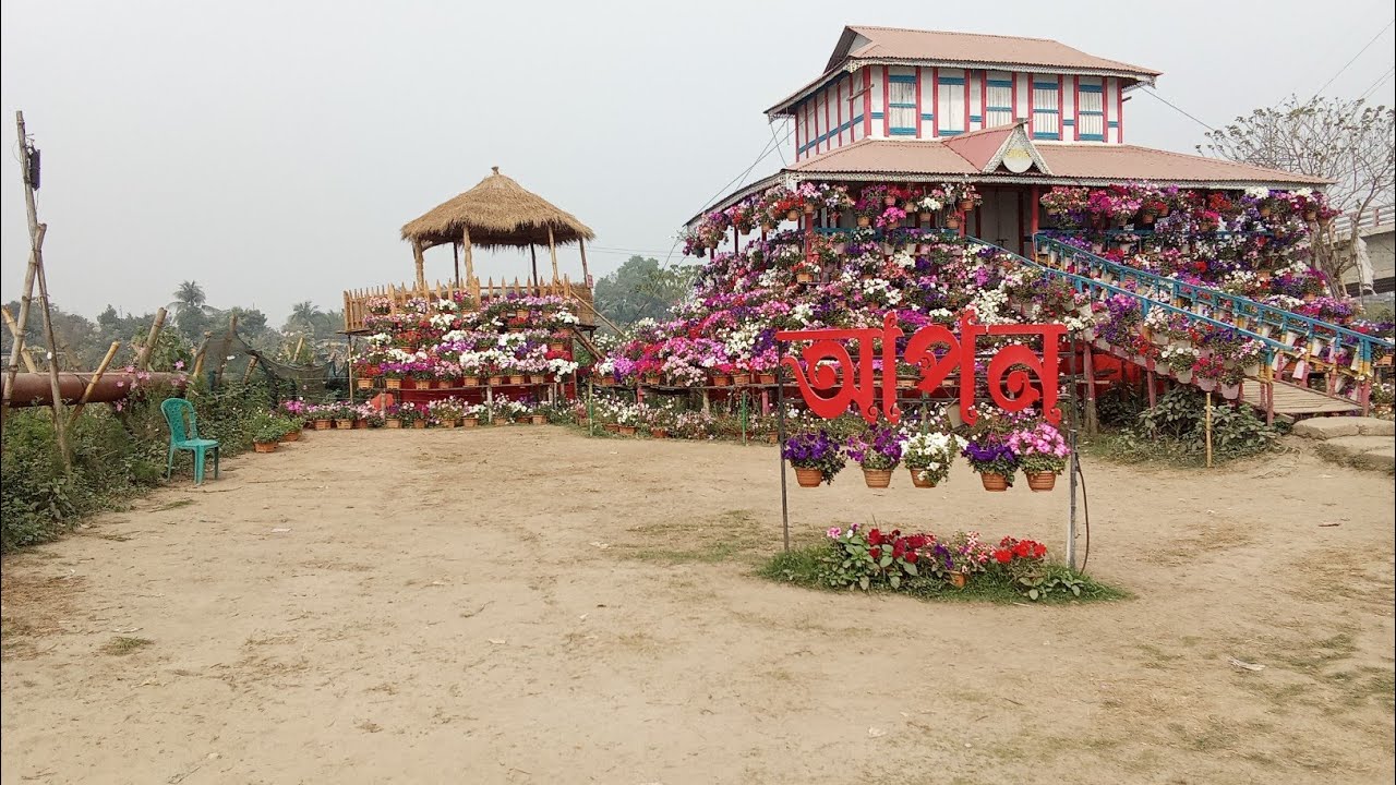 নাগরিয়াকান্দি সানফ্লাওয়ার গার্ডেন - সূর্যমুখী ফুলের বাগান ও বিনোদন কেন্দ্র