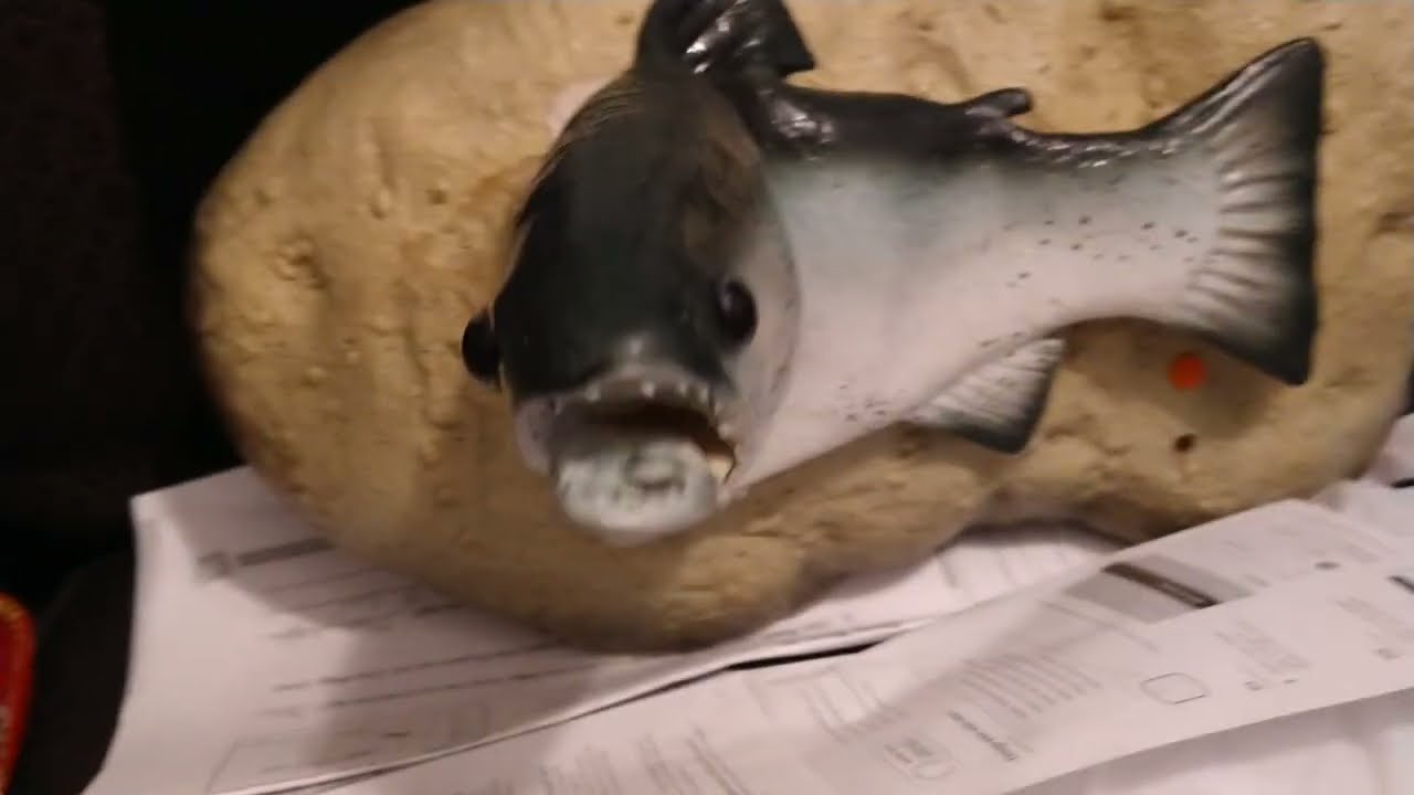 Custom singing fish (older video)