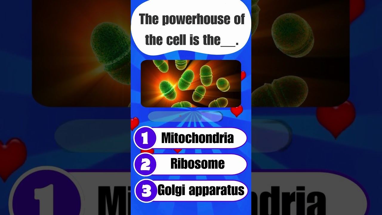 Cell Biology Quiz: Can You Name the Powerhouse of the Cell?