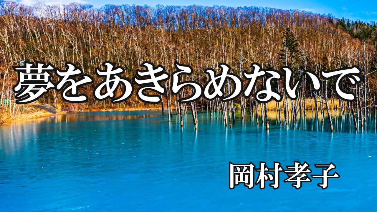 夢をあきらめないで / 岡村孝子 (歌詞入り)