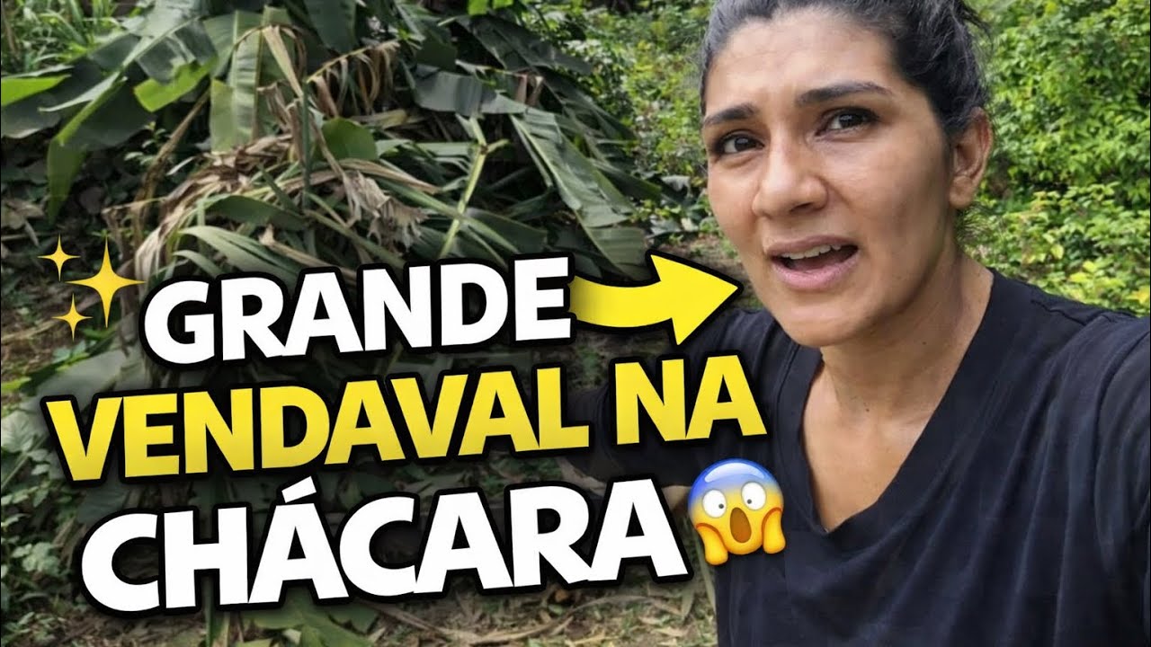 ✨ UM GRANDE VENDAVAL PASSOU PELA CHÁCARA ! 😱 OLHA O QUE ACONTECEU POR AQUI 😰