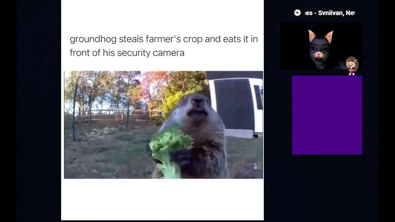 18+ | Geklungel op Open Zee