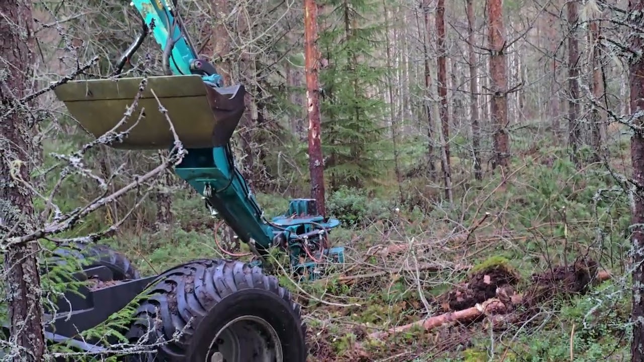 Puiden karsinta ja kaato tielinjalta