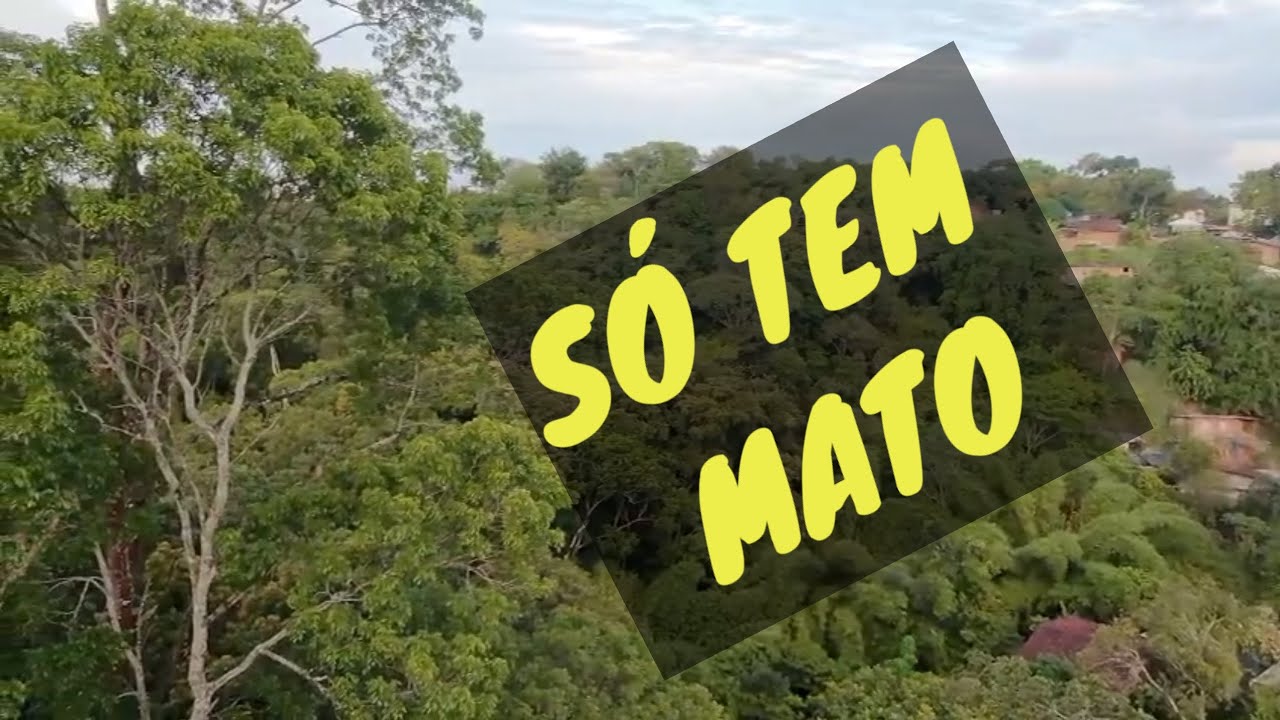 Visita ao TERRENO
