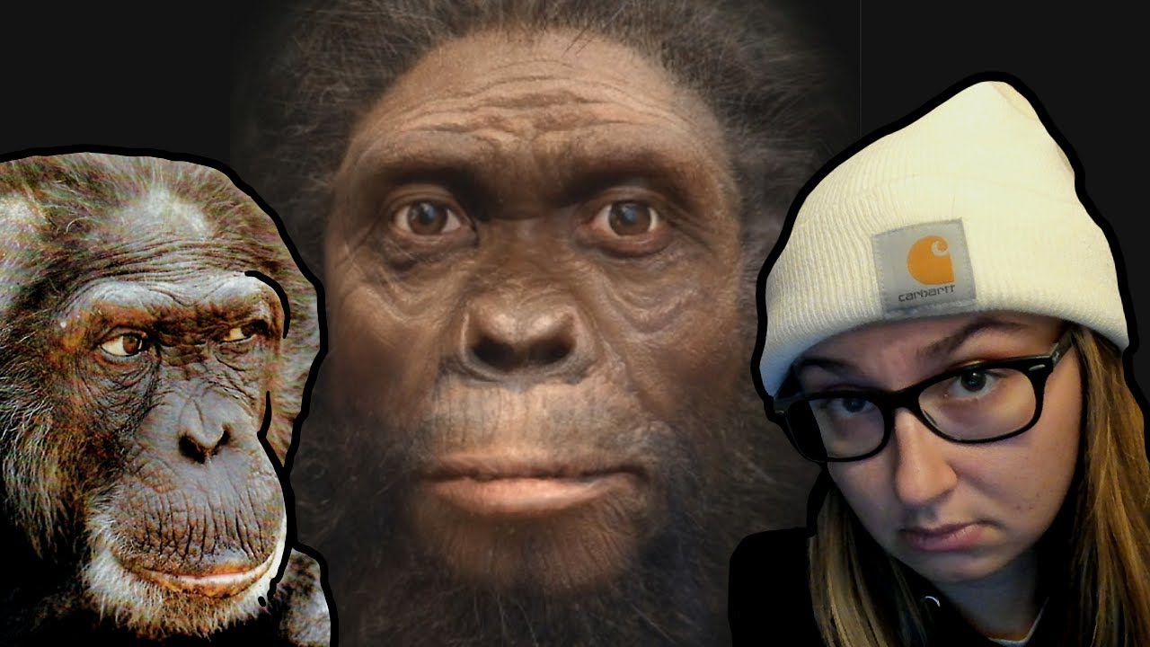 I am begging Creationists to Stop Saying This