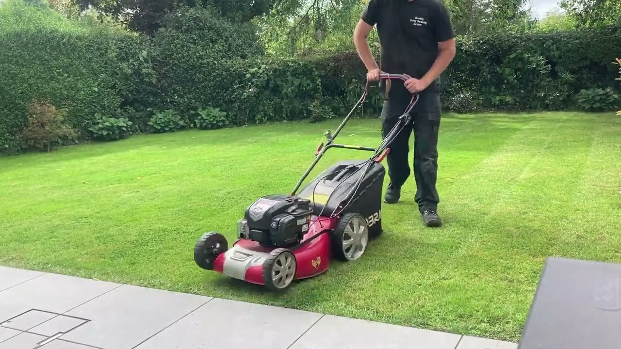 Cobra themed lawn renovation.