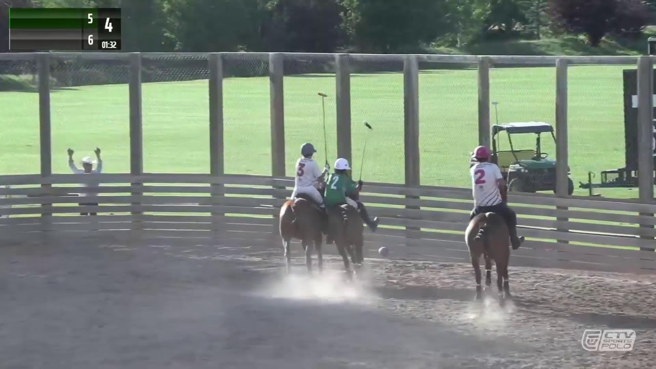 Arena Polo