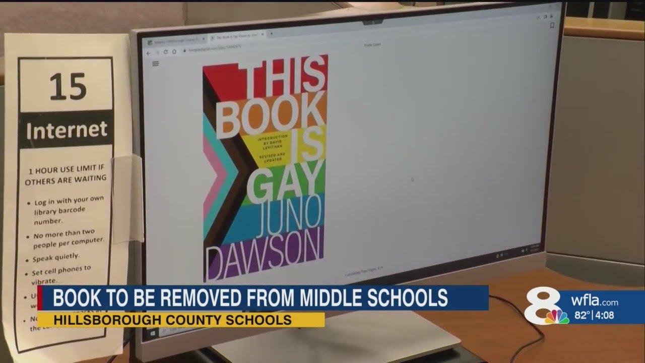 Hillsborough school board votes to ban 'This Book Is Gay' from middle school libraries