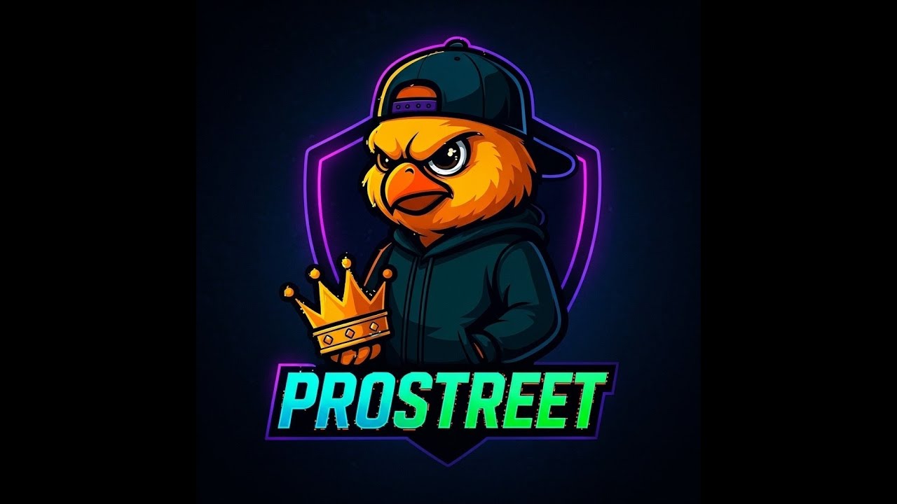 Racing Master - TEAM PRO