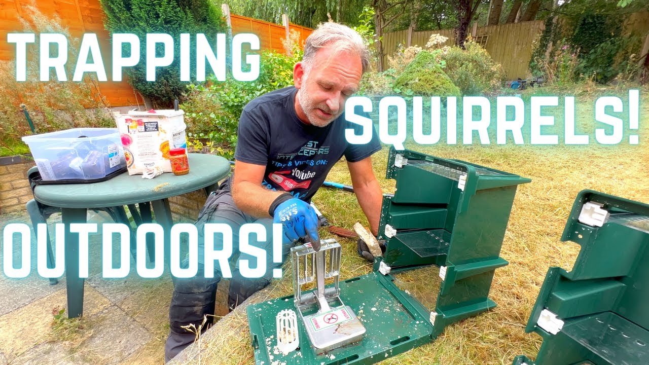 TRAP a SQUIRREL outside without harming BIRDS! We trial the Trapinator DOC 150 & 200 SQUIRREL TRAP.