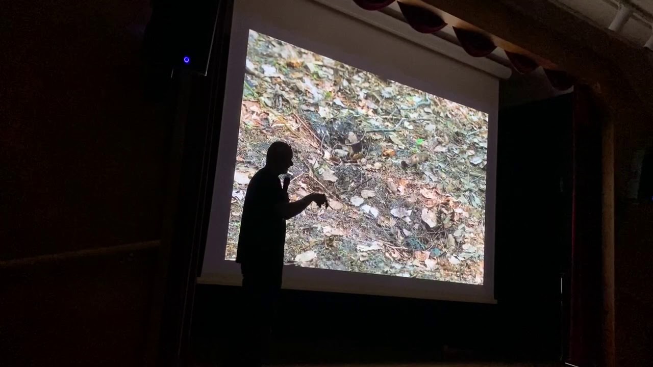Mitt f&ouml;redrag p&aring; Hasselfors Naturfoto och filmfestival 2020