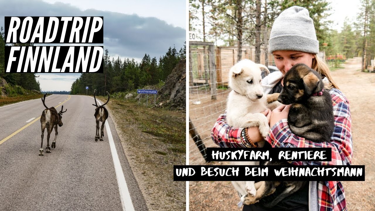 Roadtrip Finnland | Ein Camping Traum | Unser Besuch auf einer Huskyfarm und beim Weihnachtsmann