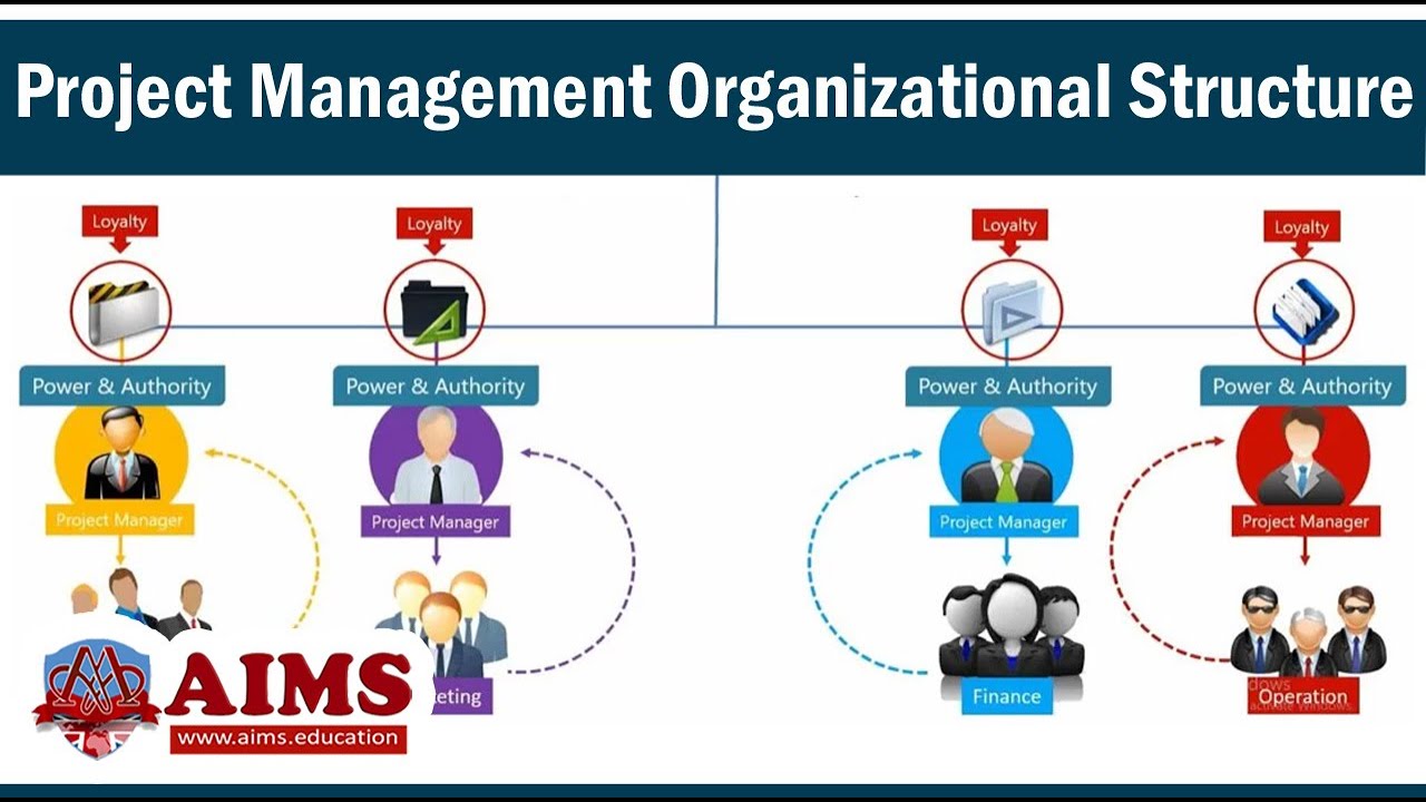 Организационная структура управления проектами: типы, структура команды и стратегия | AIMS Education