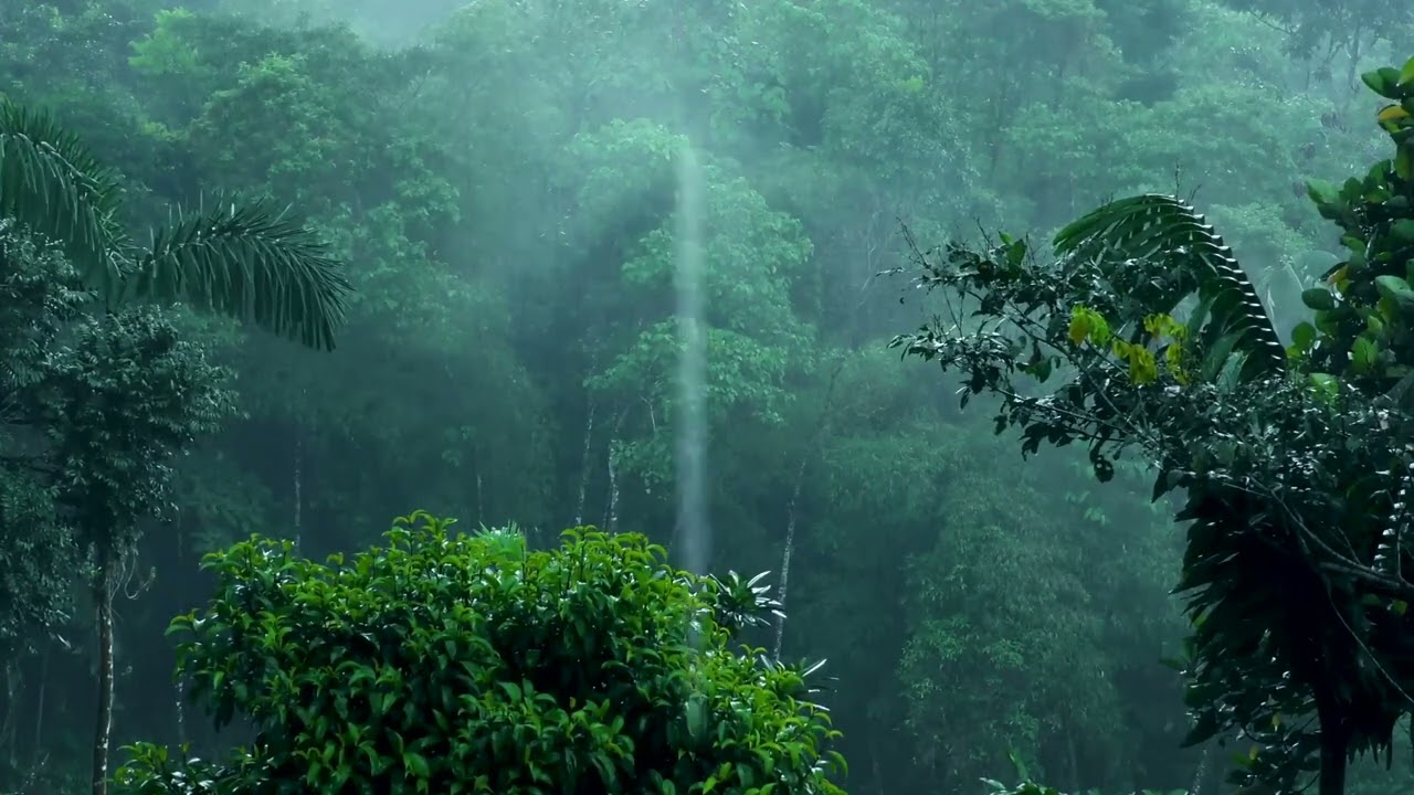 HEAVY RAIN 10 Hours for Sleeping, Relax, Study, insomnia, Reduce Stress. Heavy Rain Sounds
