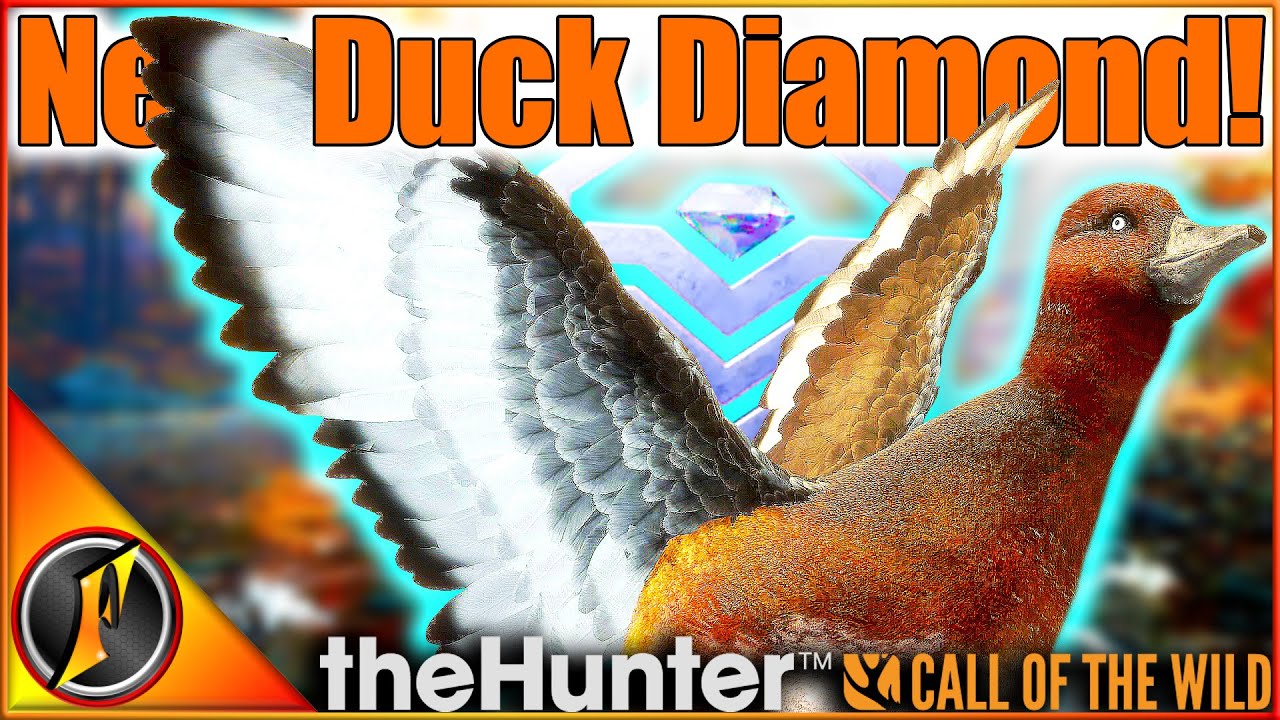 DIAMOND Ferruginous Duck with the NEW Shotgun! | Early Access Call of the Wild