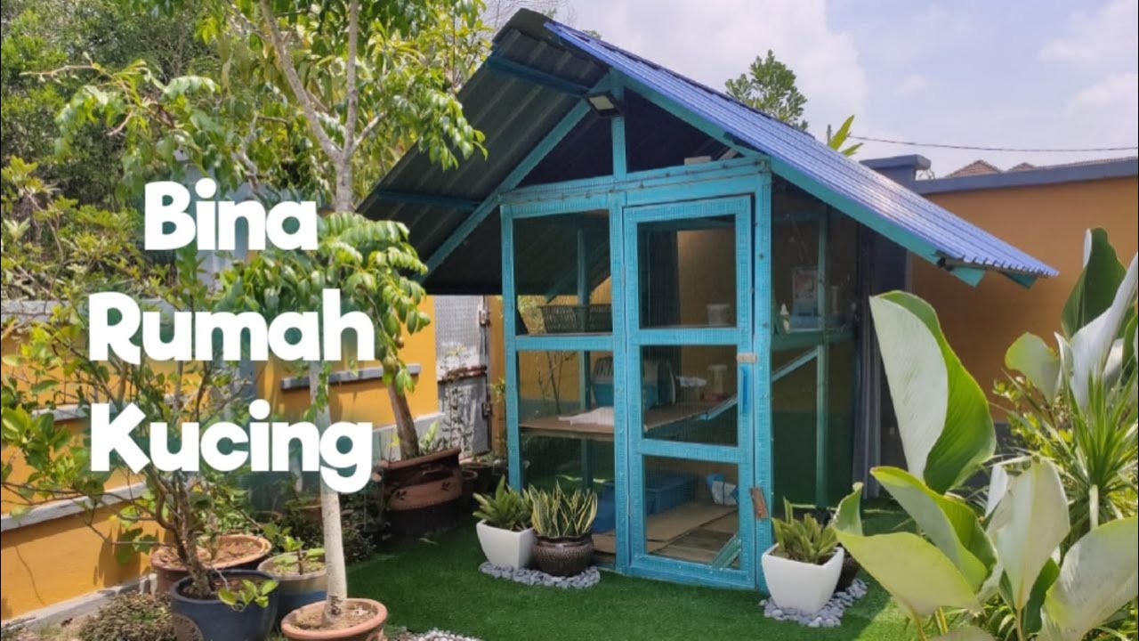 Bina Rumah Kucing Simple - Saiz 6'x6' (Small Cat House)