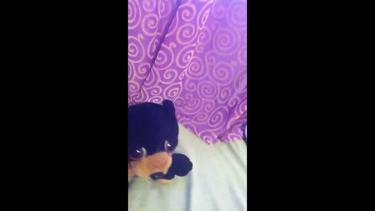 My fave singer BILLY BEAR singing radioactive
