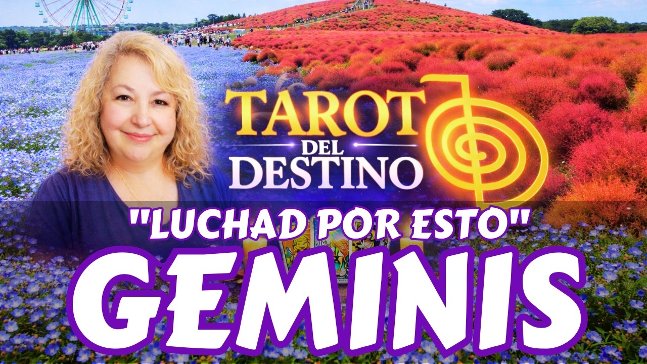 GÉMINIS ♊ OS AMÁIS… PODÉIS VIVIR JUNTOS SI LUCHÁIS POR ESTO | Tarot del Destino #geminis