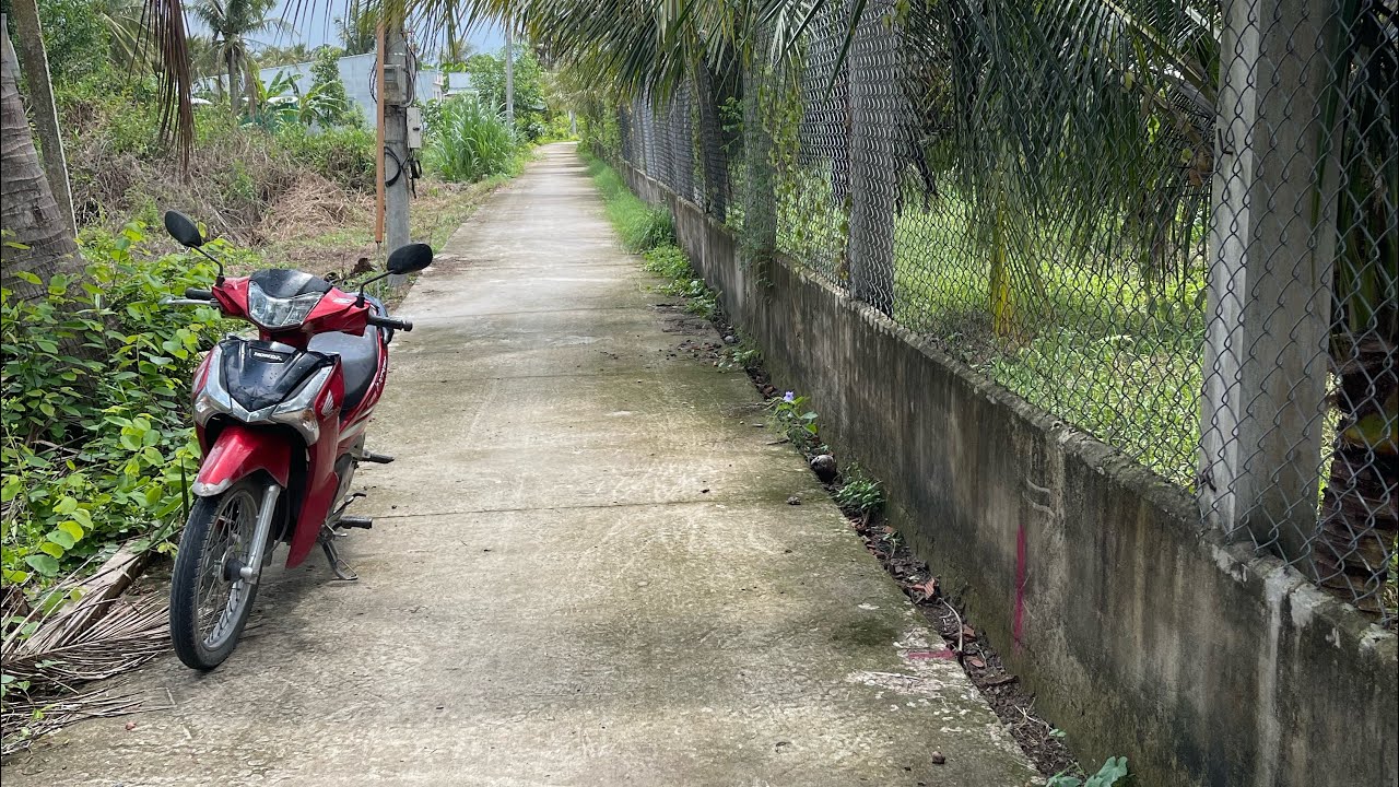Tập 420🌿 bán đất vườn dừa 🌴 mát mẻ 500m chi 360 tr. Lh0984758832. Sang