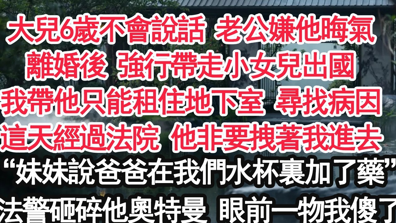 大兒6歲不會說話 老公嫌他晦氣離婚後 強行帶走小女兒出國我帶他只能租住地下室 尋找病因這天經過法院 他非要拽著我進去“妹妹說爸爸在我們水杯裏加了藥”法警砸碎他的奧特曼 眼前一物我傻了【亞男】【大女主】