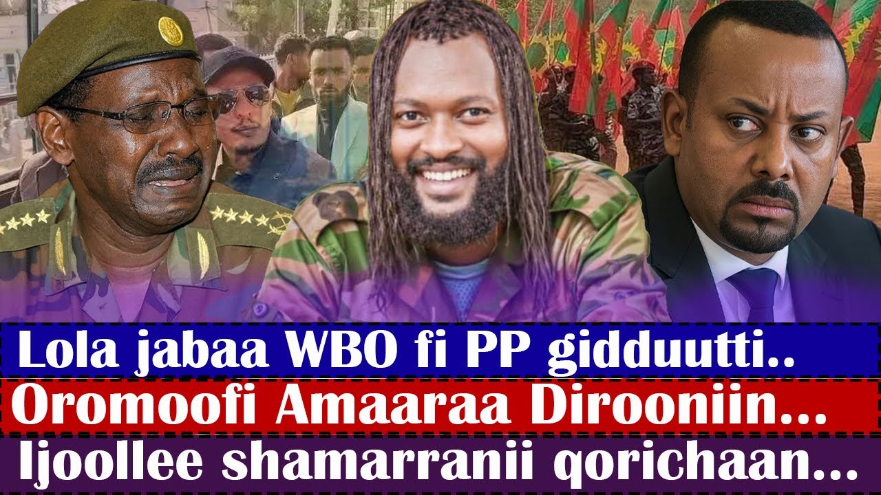 Lola jabaa WBO fi PP gidduutti..Oromoofi Amaaraa Dirooniin...Ijoollee shamarranii qorichaan...