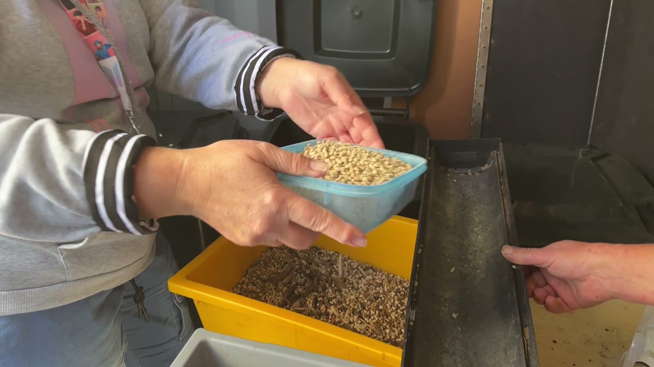 EVERYDAY AT THE FARM