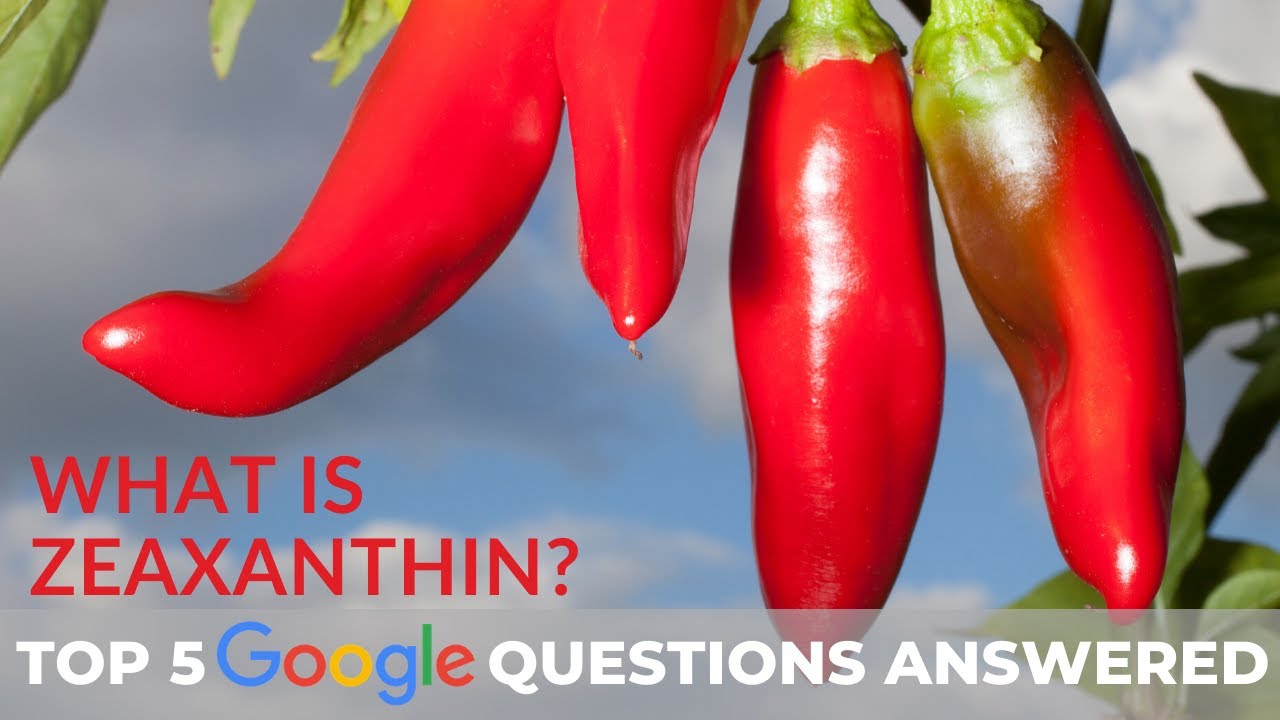 What is Zeaxanthin? Top 5 Google Questions Answered