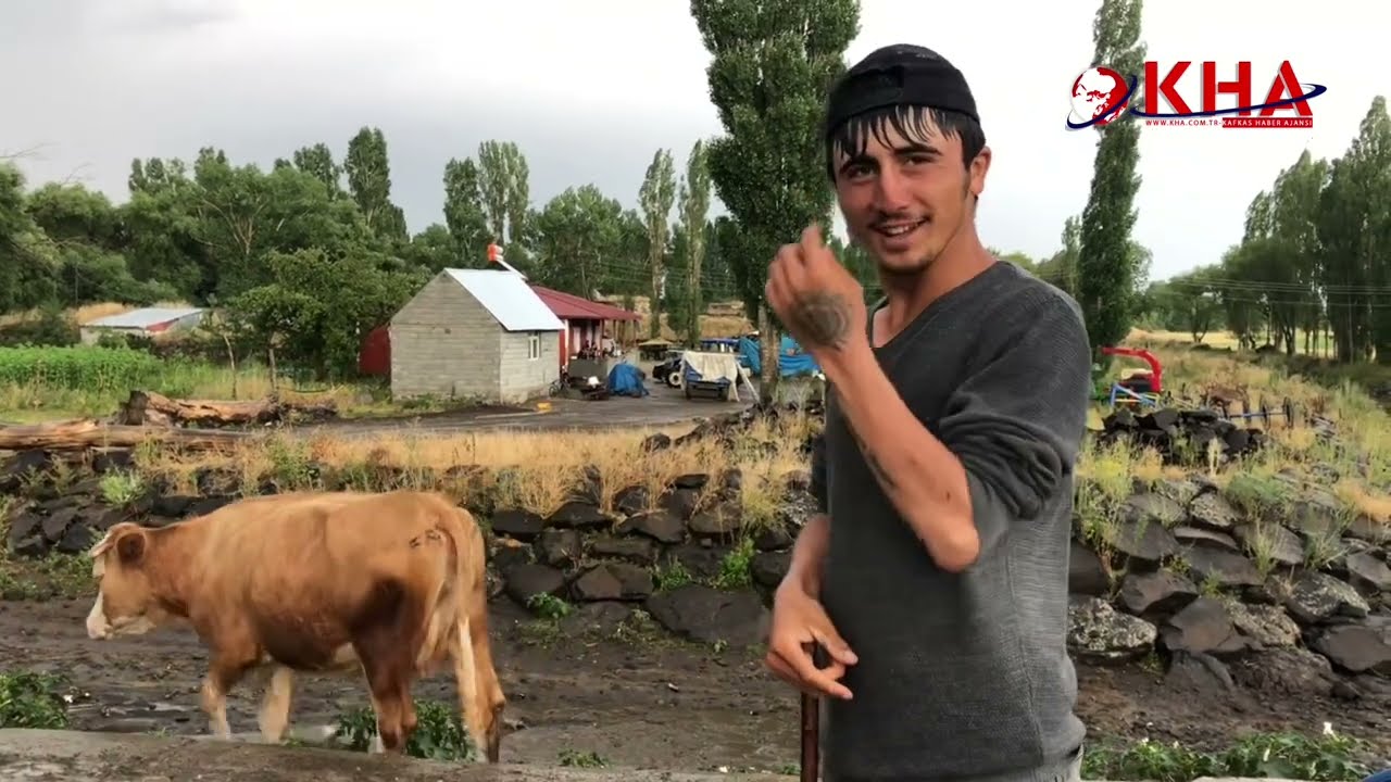 Köyde doğal yaşam