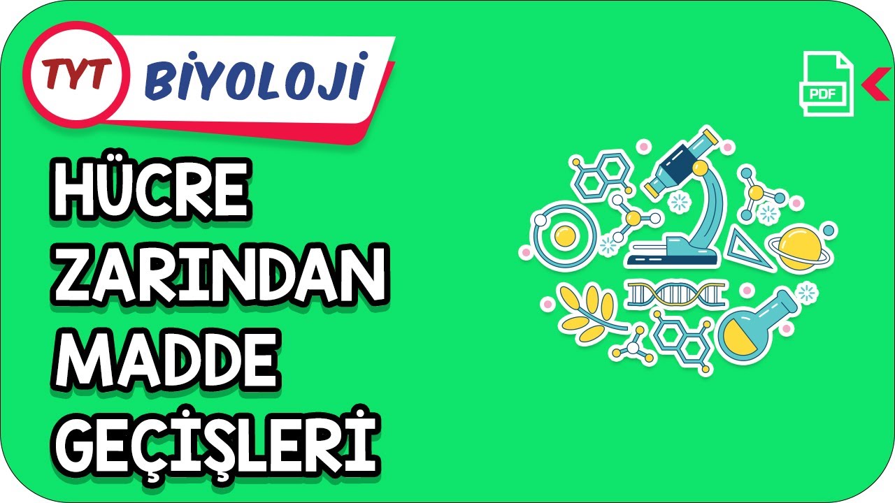 Hücre Zarından Madde Geçişleri  | Kamp2021    #YazKampı