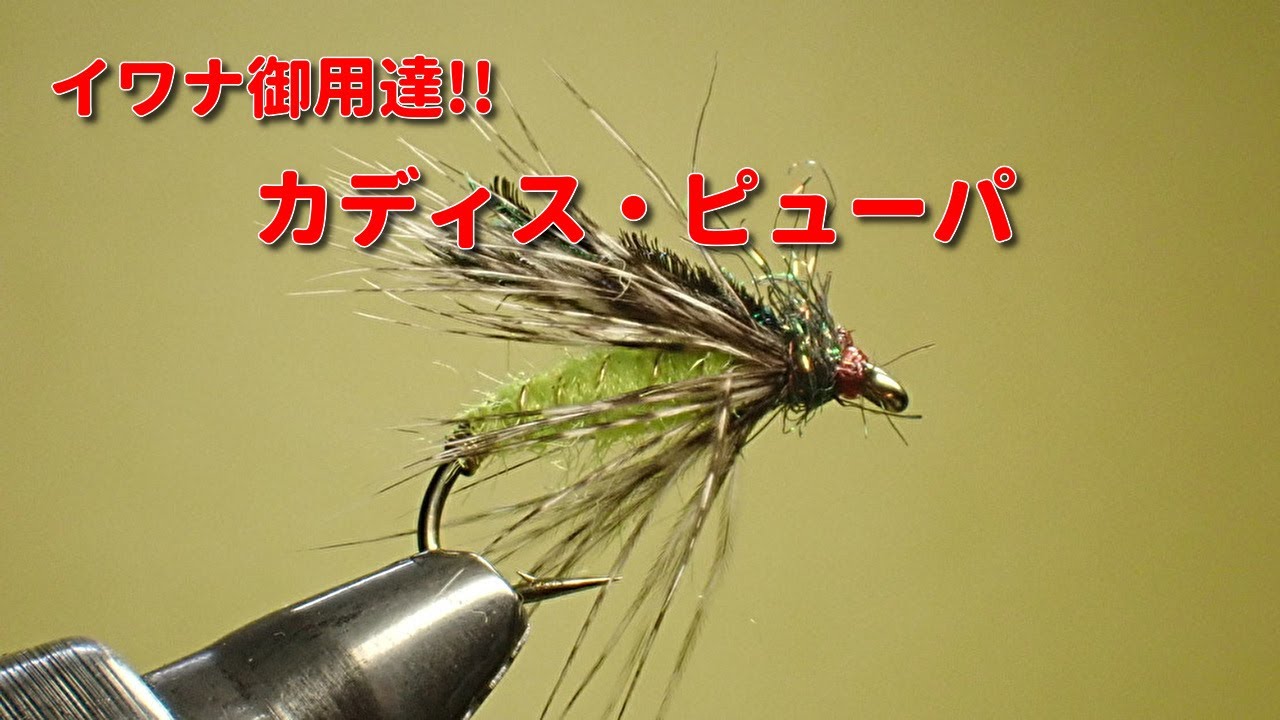 イワナ御用達！　カディス・ピューパ