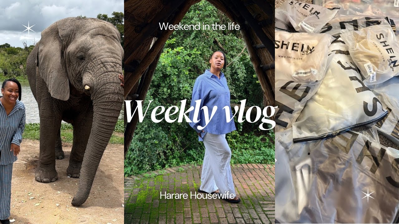 Shein Haul | Trip to antelope Park | Harare housewife diaries.
