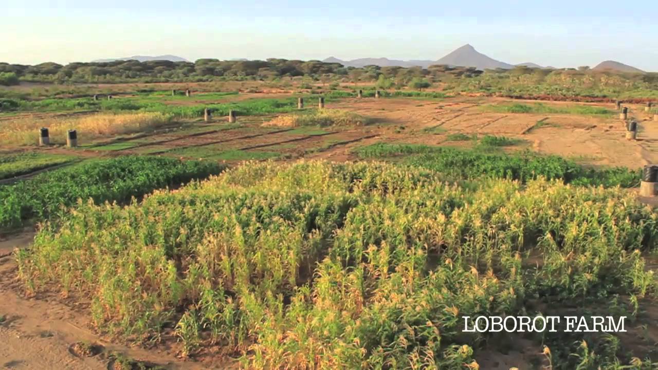 Bringing Life to the Desert, Turkana, Kenya