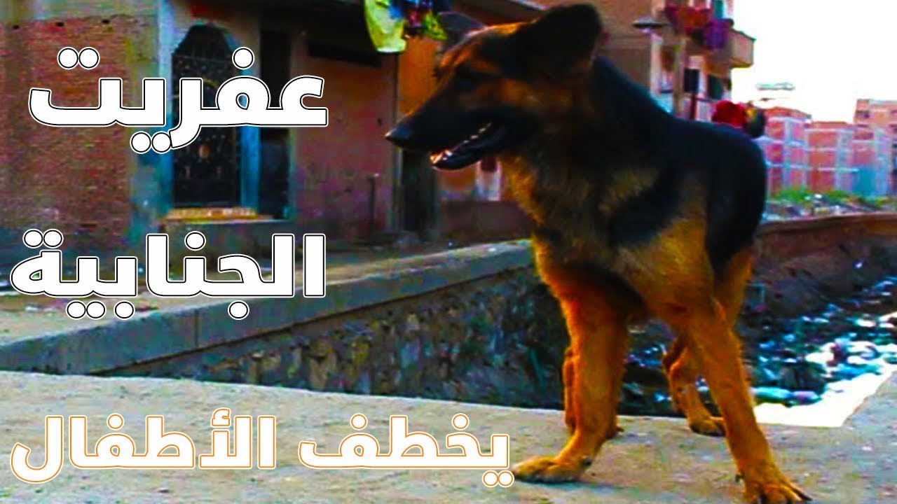 عفريت الجنابية يخطف أطفال الزقازيق والأهالي تستغيث